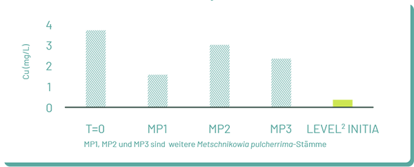 Graphe 03