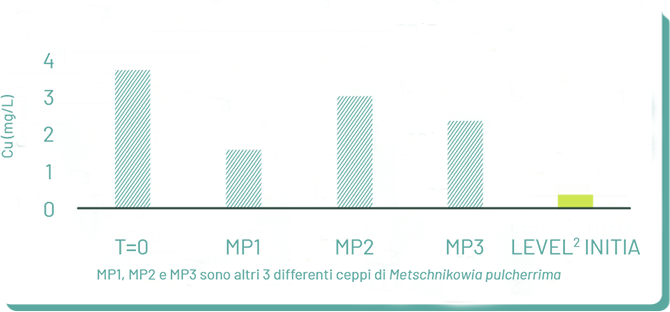 Graphe 03