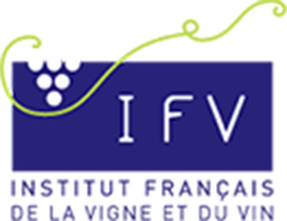 Logo IFV