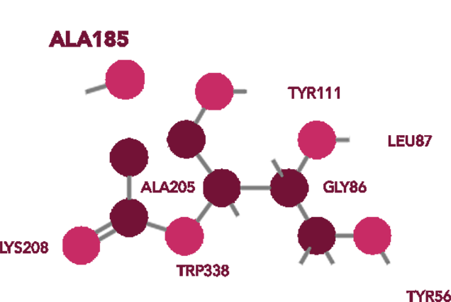 schema-2