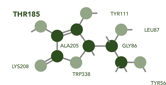 schema-1