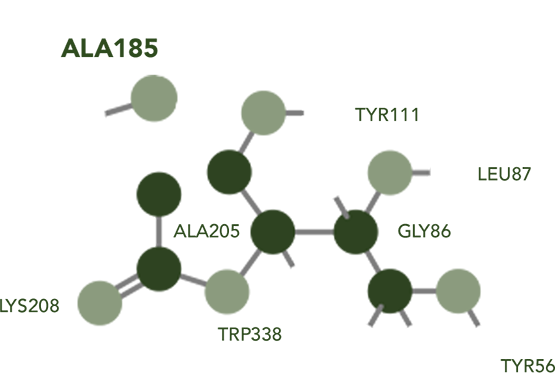 schema-2